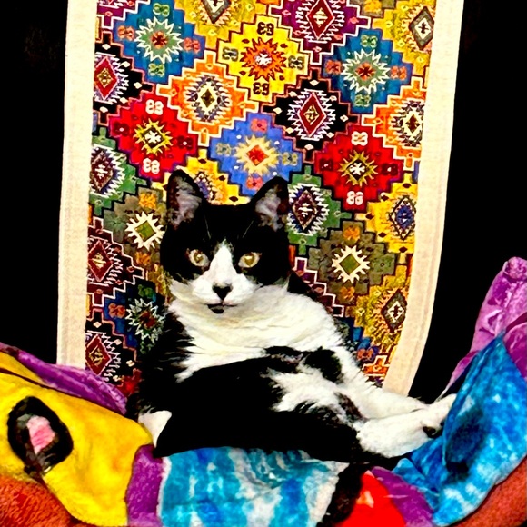 Meet your Posher, Joi - Picture 3 of 3